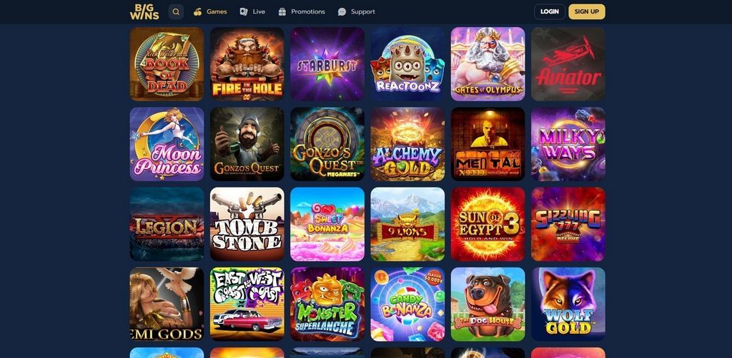 Online Casino Bonus Offers - VIP Programme for High Rollers